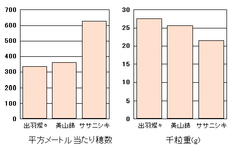 uoHWXv̓