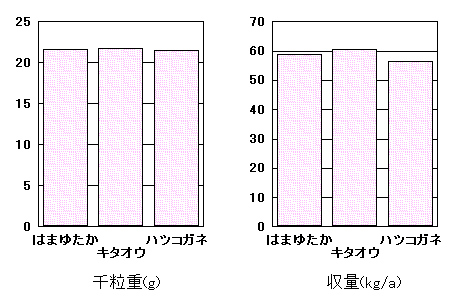 u͂܂䂽v̓
