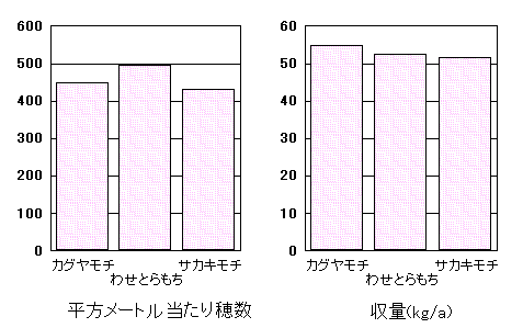 uJO`v̓