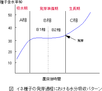 Clq̔ߒɂ鐅zp^[