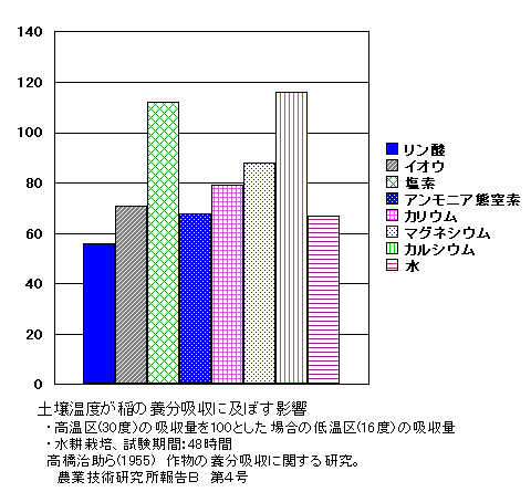 y뉷xCl̗{zɋyڂe